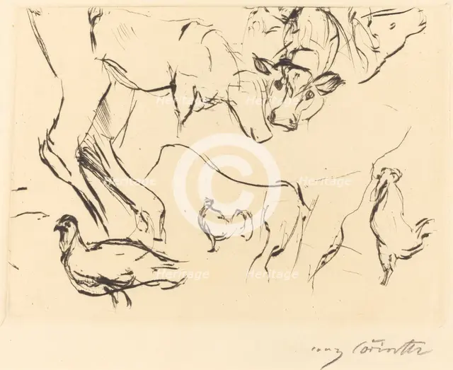 Verschiedene Tierstudien (Animal Studies), 1917. Creator: Lovis Corinth.