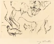 Verschiedene Tierstudien (Animal Studies), 1917. Creator: Lovis Corinth