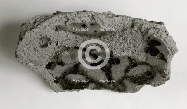 Vessel Fragment, Coptic, 4th-7th century. Creator: Unknown.