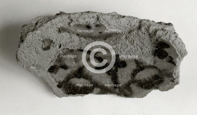 Vessel Fragment, Coptic, 4th-7th century. Creator: Unknown.