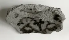 Vessel Fragment, Coptic, 4th-7th century. Creator: Unknown