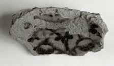 Vessel Fragment, Coptic, 4th-7th century. Creator: Unknown