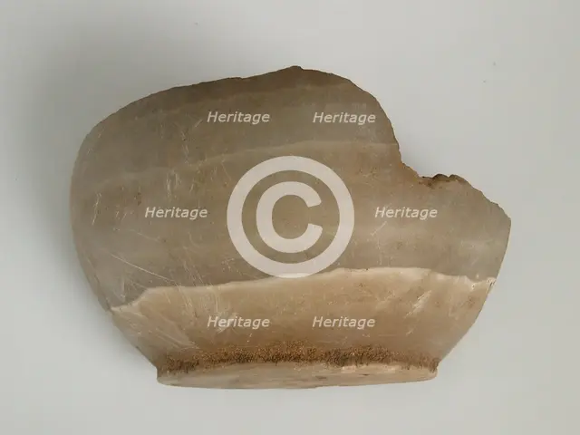 Vessel Fragment, Coptic, 4th-7th century. Creator: Unknown.
