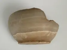 Vessel Fragment, Coptic, 4th-7th century. Creator: Unknown