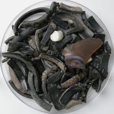 Vessel Fragments, Coptic, 4th-7th century. Creator: Unknown