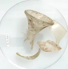 Vessel Fragments, Coptic, 4th century. Creator: Unknown