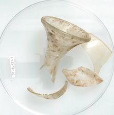Vessel Fragments, Coptic, 4th century. Creator: Unknown
