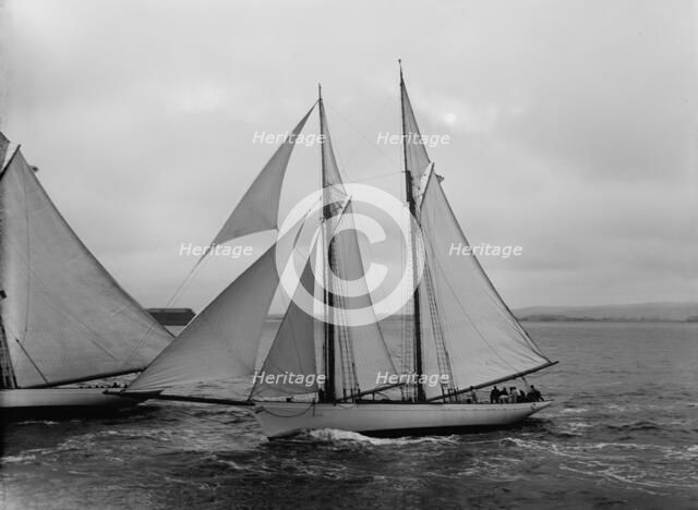Viator, 1891. Creator: John S Johnston.