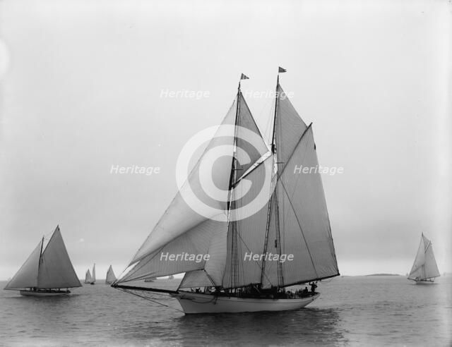 Viator, 1896 July 22. Creator: John S Johnston.