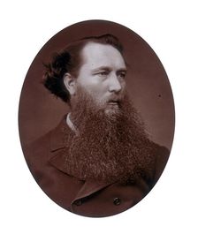 Vicat Cole, landscape painter, 1881. Creator: Lock & Whitfield