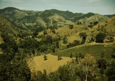 Vicinity of Corozal, Puerto Rico, 1941?. Creator: Jack Delano