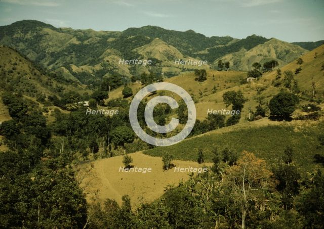 Vicinity of Corozal, Puerto Rico, 1941?. Creator: Jack Delano.