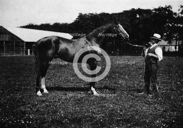 'Victor Wild', 1911. Artist: Unknown.