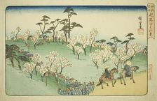 Viewing Cherry Blossoms at Asuka Hill (Asukayama hanami), from the series "Famous..., c. 1832/34. Creator: Ando Hiroshige