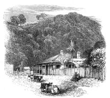 Views at the Seat of the War in New Zealand: settler's house at Waikato, 1864. Creator: Unknown
