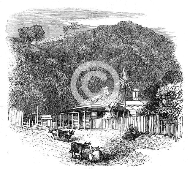 Views at the Seat of the War in New Zealand: settler's house at Waikato, 1864. Creator: Unknown.