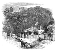 Views at the Seat of the War in New Zealand: settler's house at Waikato, 1864. Creator: Unknown