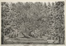 Views of the Villa of Pratolino: The Inhabited Tree. Creator: Stefano Della Bella (Italian, 1610-1664)