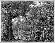 View Taken in the Forests of Guam Island, Mariana Islands, 19th century. Creators: Alexander Postels, Alexis Victor Joly