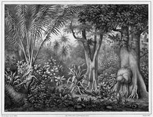 View Taken in the Interior of the Lower Caroline Islands,19th century. Creators: Friedrich Heinrich Kittlitz, Godefroy Engelmann, Louis-Pierre-Alphonse Bichebois