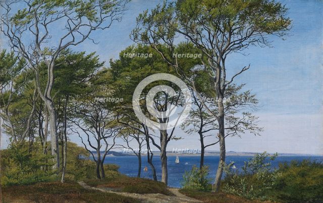 View Through Beech Trees Across a Fiord, 1850-1859. Creator: Peter Christian Thamsen Skovgaard.