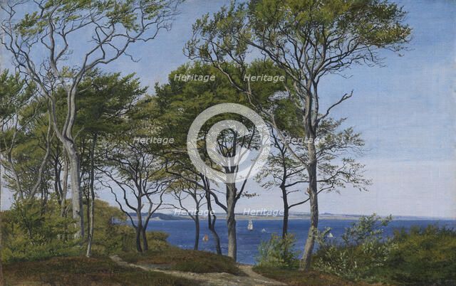 View Through Beech Trees Across a Fiord, 1850-1859. Creator: Peter Christian Thamsen Skovgaard.