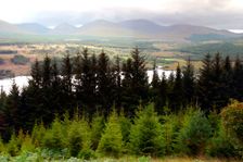 View across the Great Glen from Glen Garry, Highland, Scotland. Creator: Peter Thompson