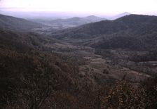 View along the Skyline Drive, Va., ca. 1940. Creator: Jack Delano