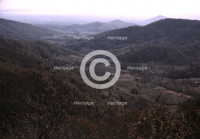 View along the Skyline Drive, Va., ca. 1940. Creator: Jack Delano.