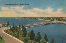View along Shore Drive, Tampa, Florida. c1940s