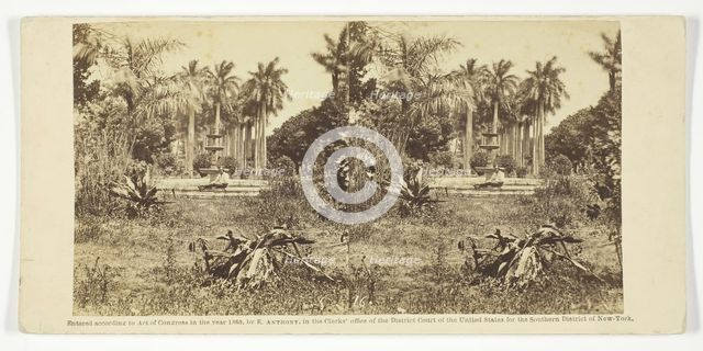 View at the Bishop's Garden, Havana, 1860. Creator: Anthony & Company.
