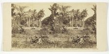 View at the Bishop's Garden, Havana, 1860. Creator: Anthony & Company