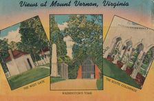 View at Mount Vernon, Virginia 1946