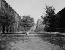 View between warehouses, Walker distillery, Walkerville, Ont., between 1905 and 1915. Creator: Unknown