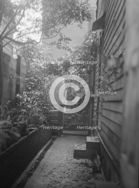 View down narrow outdoor passageway, New Orleans or Charleston, South Carolina, c1920-1926. Creator: Arnold Genthe.