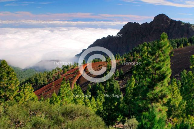 View from Mirador de la Cumbre, Parque Nacional del Teide, Tenerife, Canary Islands, 2007.
