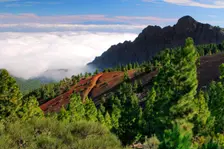 View from Mirador de la Cumbre, Parque Nacional del Teide, Tenerife, Canary Islands, 2007. Creator: Peter Thompson