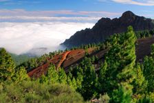View from Mirador de la Cumbre, Parque Nacional del Teide, Tenerife, Canary Islands, 2007