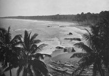 View from Mount Lavinia, Showing Cocoanut Palms along Seashore c1890, (1910). Artist: Alfred William Amandus Plate