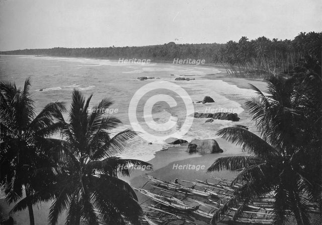 'View from Mount Lavinia, Showing Cocoanut Palms along Seashore', c1890, (1910). Artist: Alfred William Amandus Plate.