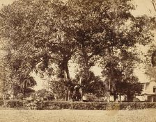 View From Our Garden, Dum Dum, 1850s. Creator: Captain R. B. Hill