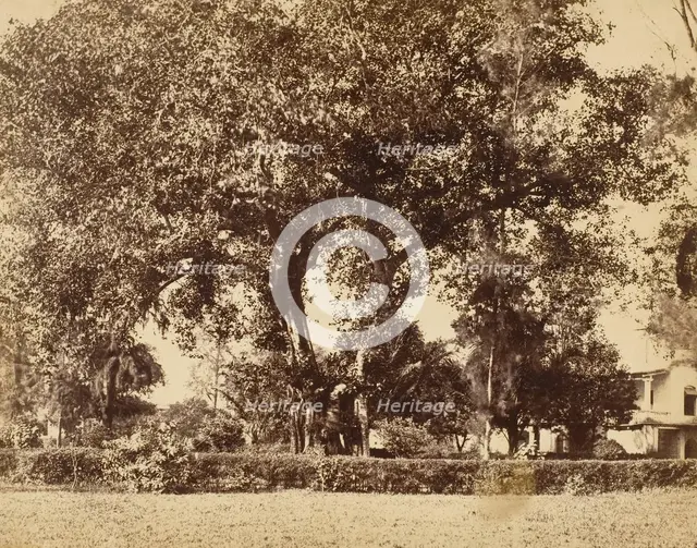 View From Our Garden, Dum Dum, 1850s. Creator: Captain R. B. Hill.