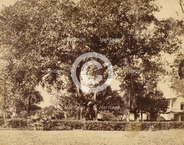 View From Our Garden, Dum Dum, 1850s. Creator: Captain R. B. Hill.