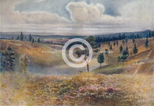 'View from Beacon Hill, Hindhead', 1911, (1914). Artist: James S Ogilvy.