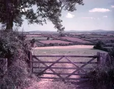 View from Clarbeston, Pembrokeshire, c1955. Creator: Arthur Charles Kirby Ware