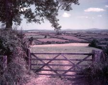 View from Clarbeston, Pembrokeshire, c1955. Creator: Arthur Charles Kirby Ware