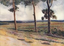 View from Staple Hill 1911, (1914). Artist: James S Ogilvy
