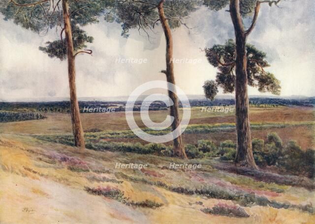 'View from Staple Hill', 1911, (1914). Artist: James S Ogilvy.