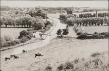 View from the west looking down towards the Globe Lane bridge, Leighton Buzzard, Beds, 1910-1960. Creator: George R Long