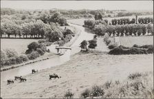 View from the west looking down towards the Globe Lane bridge, Leighton Buzzard, Beds, 1910-1960. Creator: George R Long